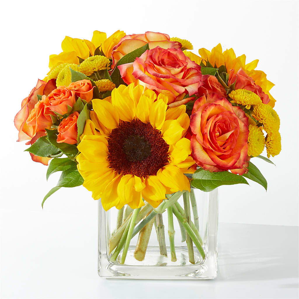Picnic in the Park Bouquet – Your Thoughts Floral, El Paso TX